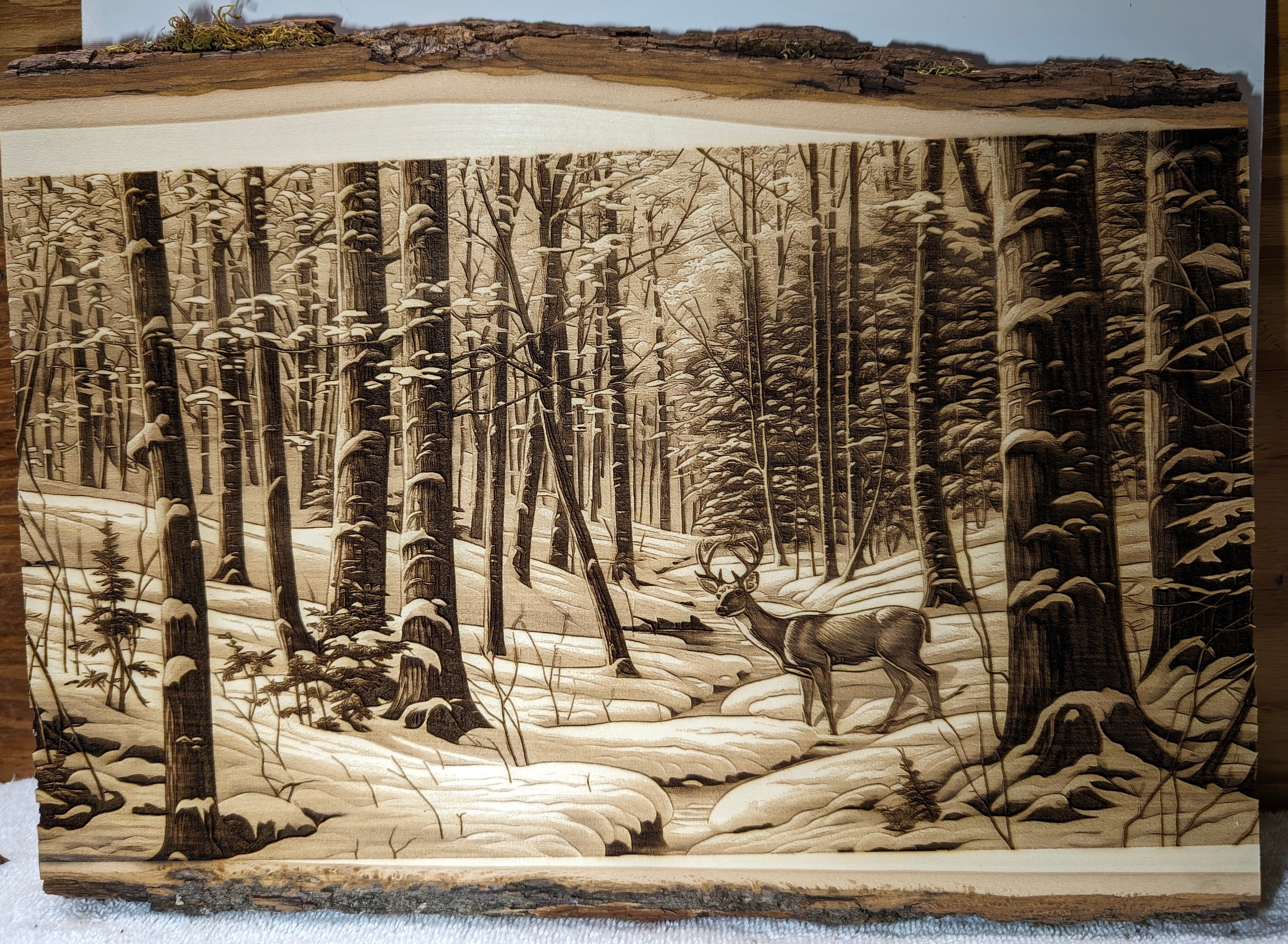 Deerinthesmallwoods.jpg