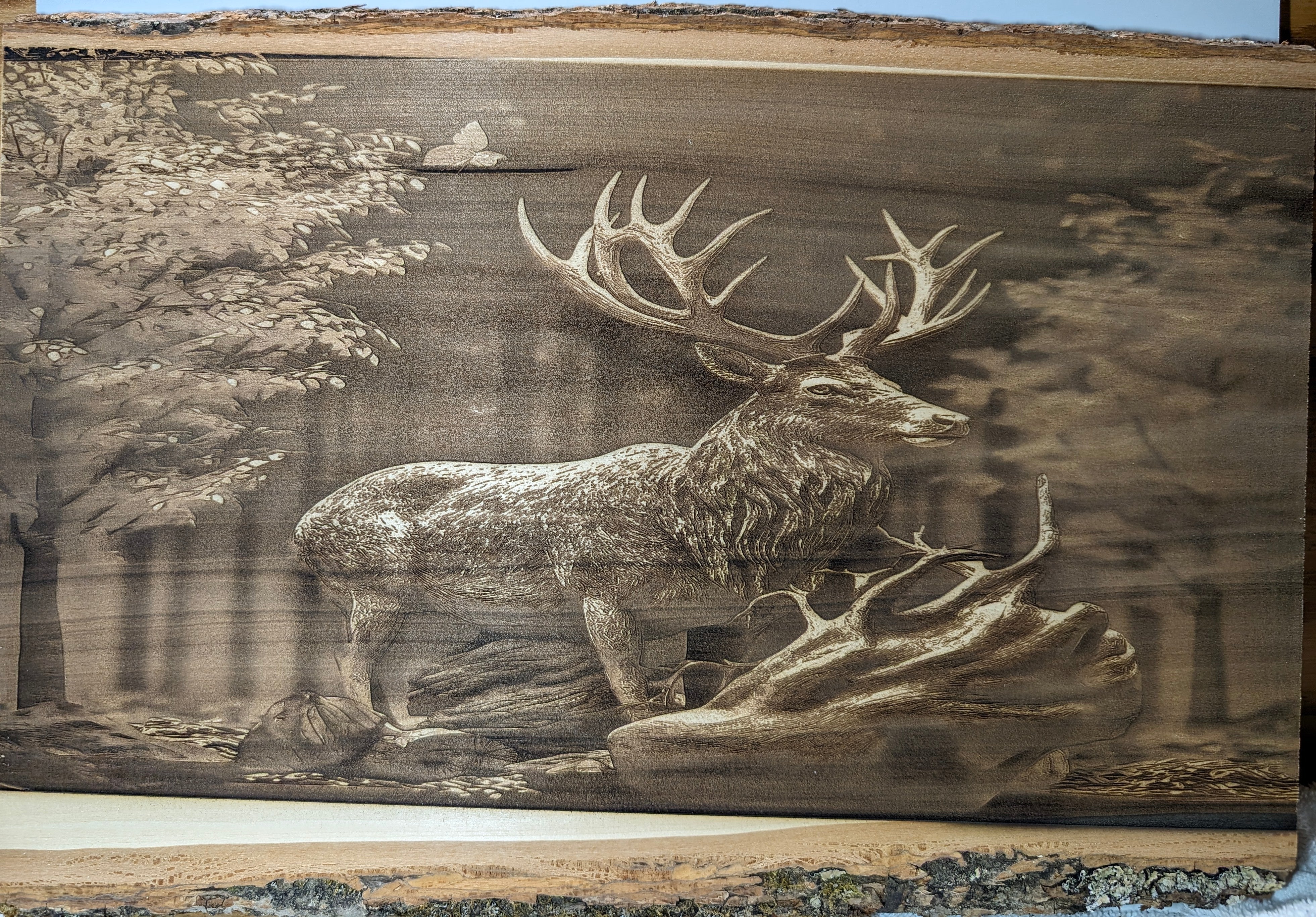 Deer Stag Engraving Board