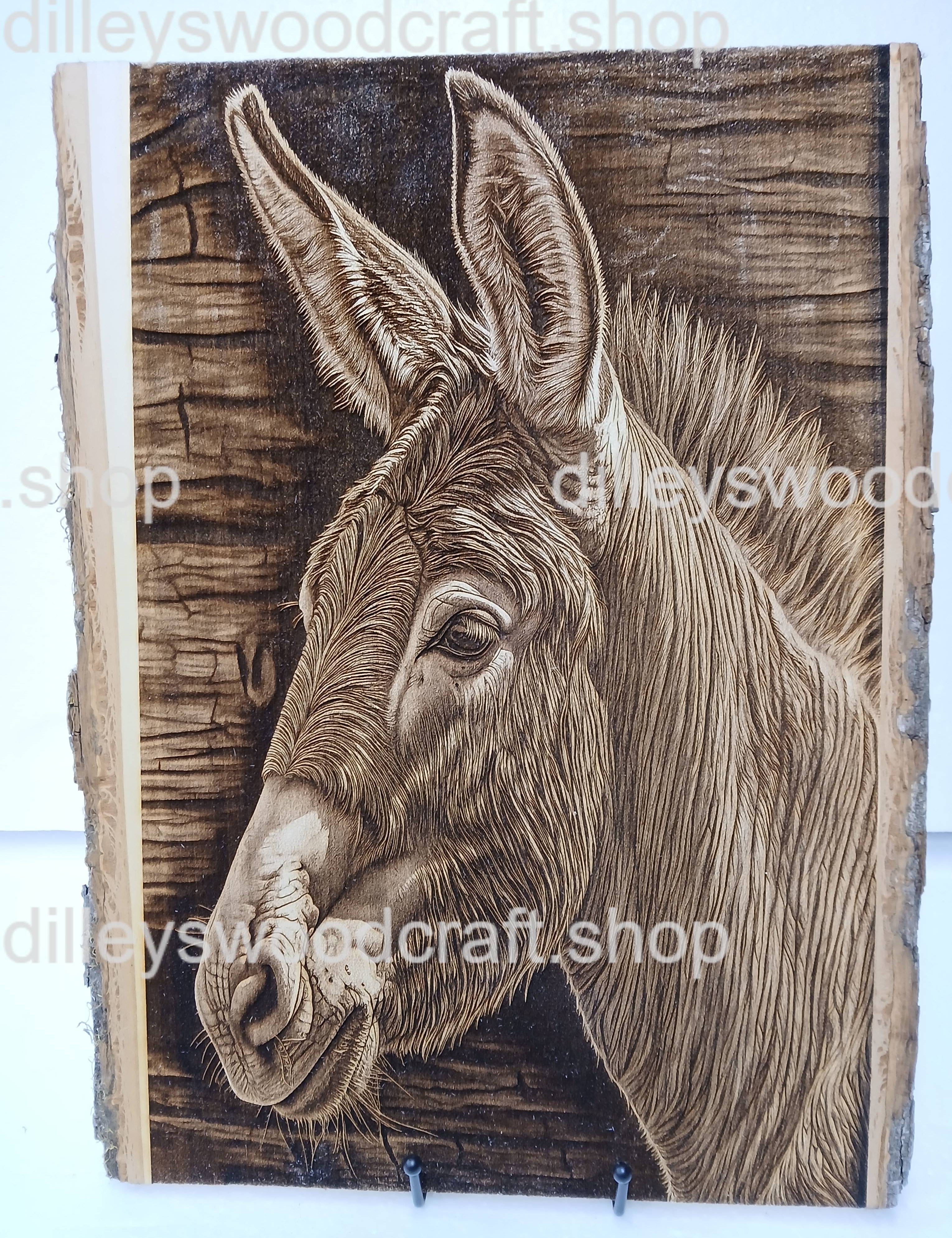 Donkey.jpg