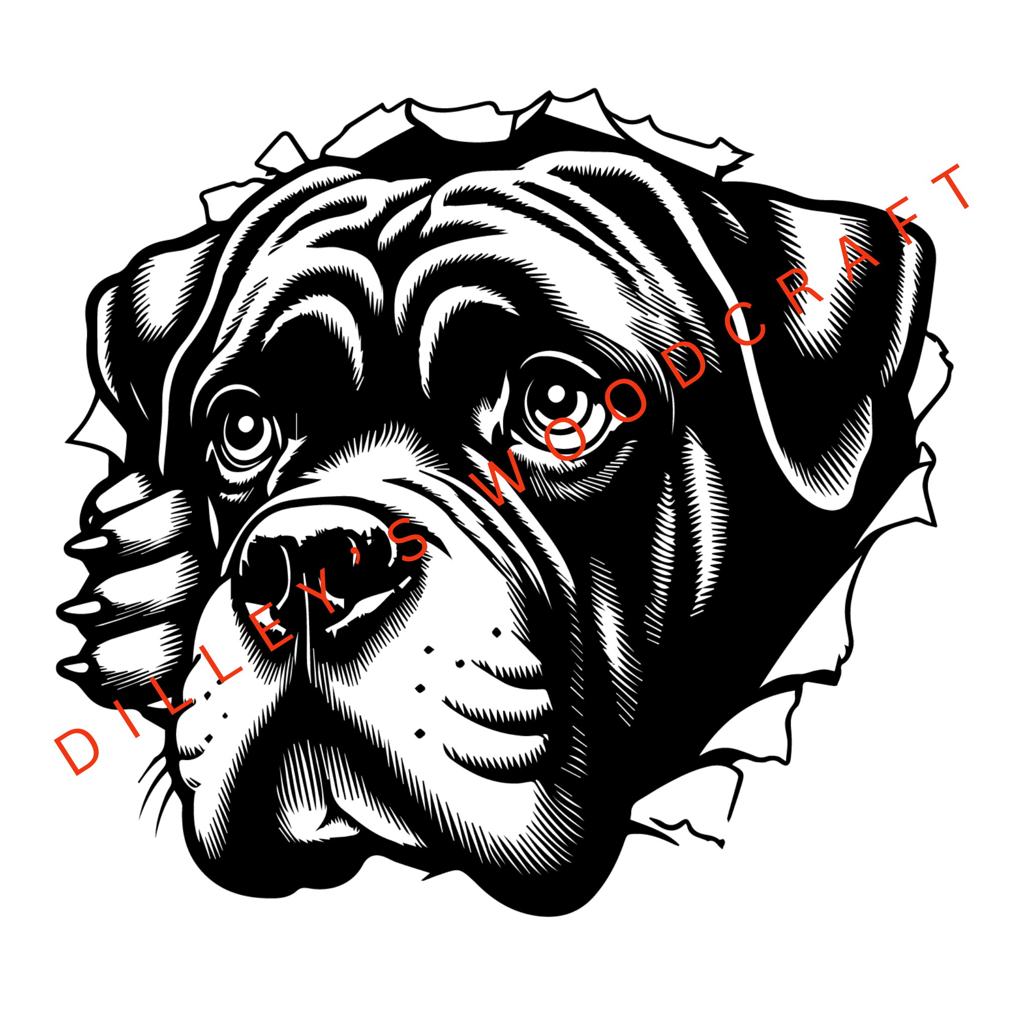 EB_CaneCorso_98_D.png