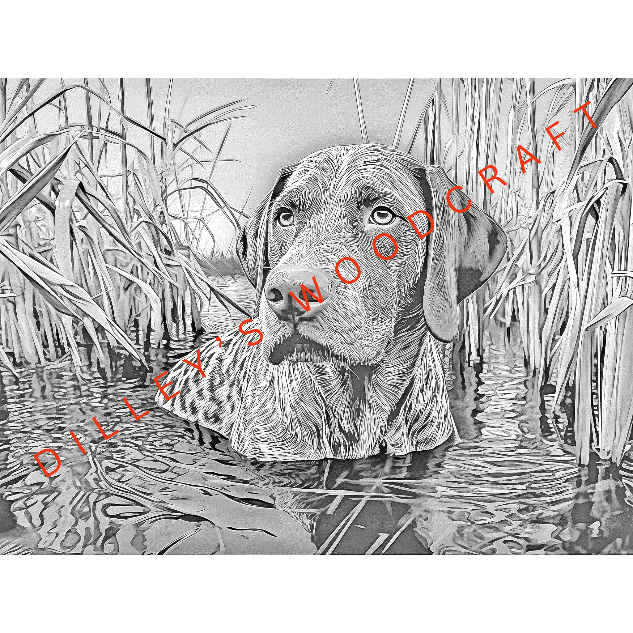 EB_GermanShorthair_D.png