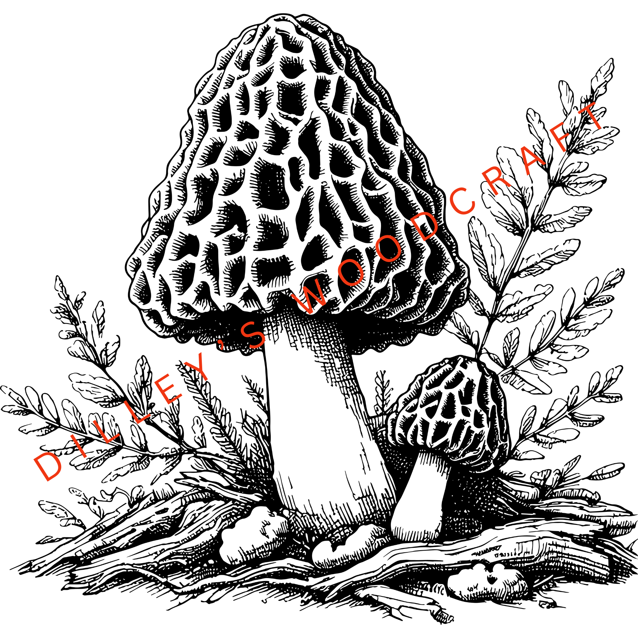Mushroom Morel Engraving Board