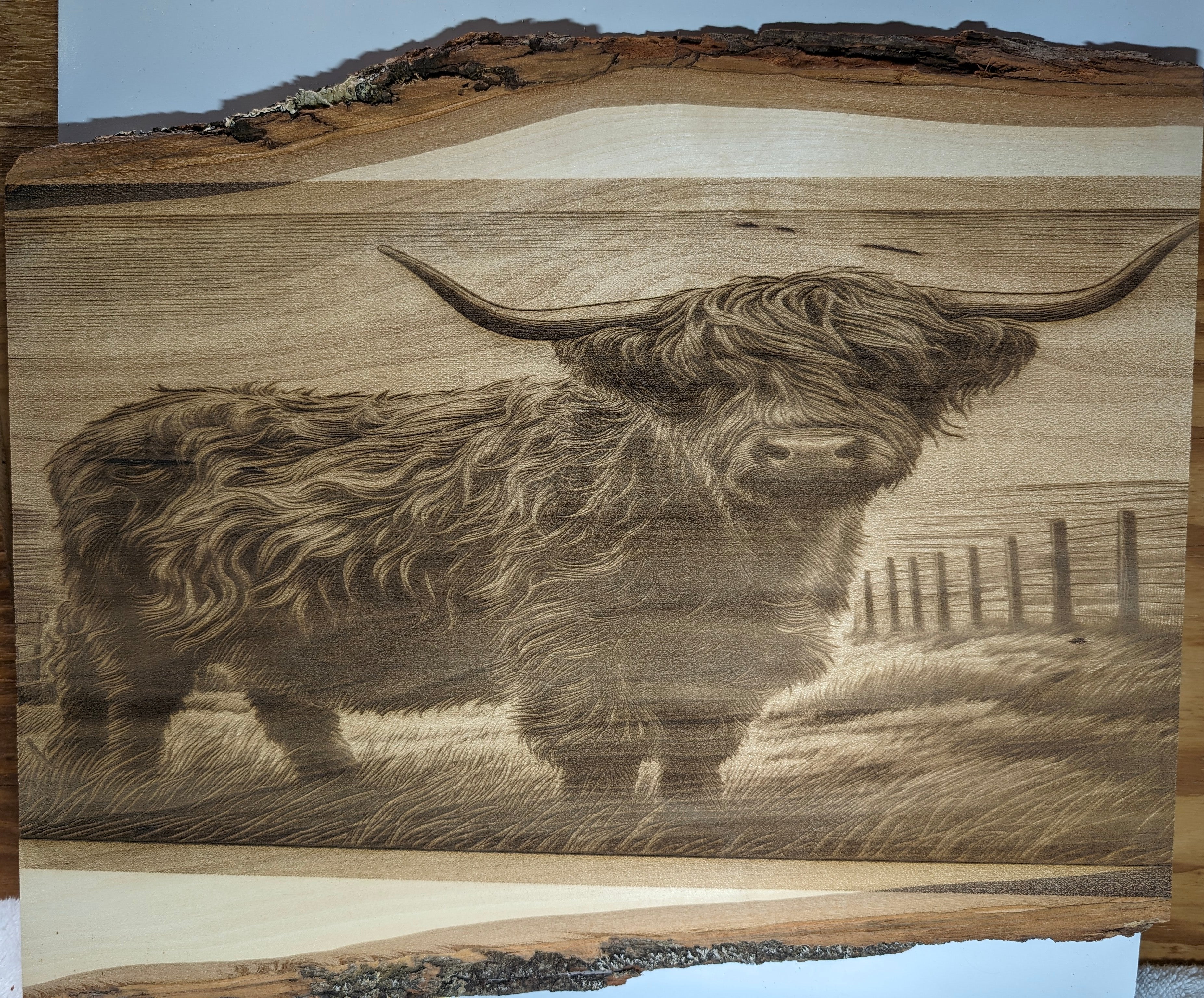 Highland Cow Rectangle Engraving Board