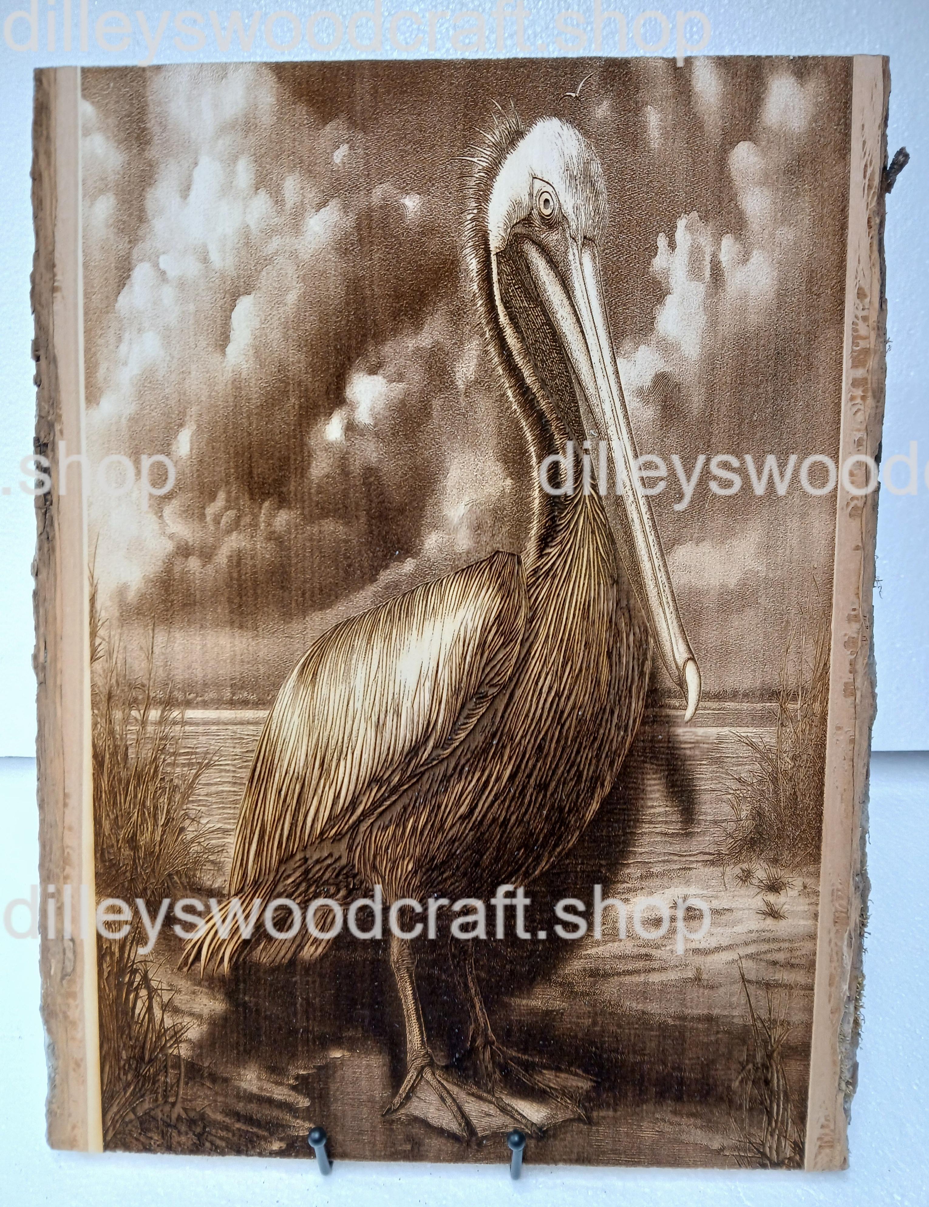 Pelican.jpg