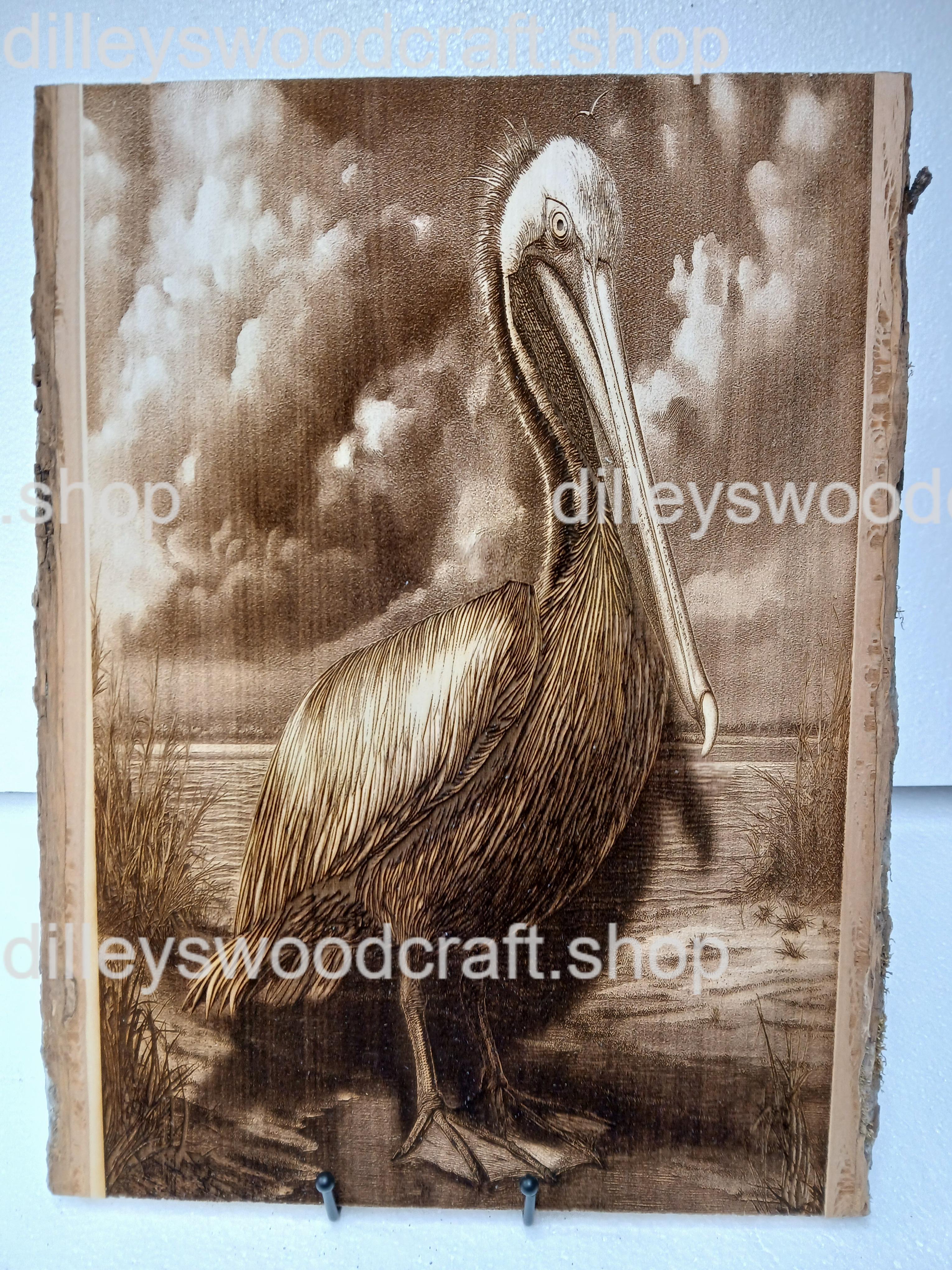 Pelican Engraving