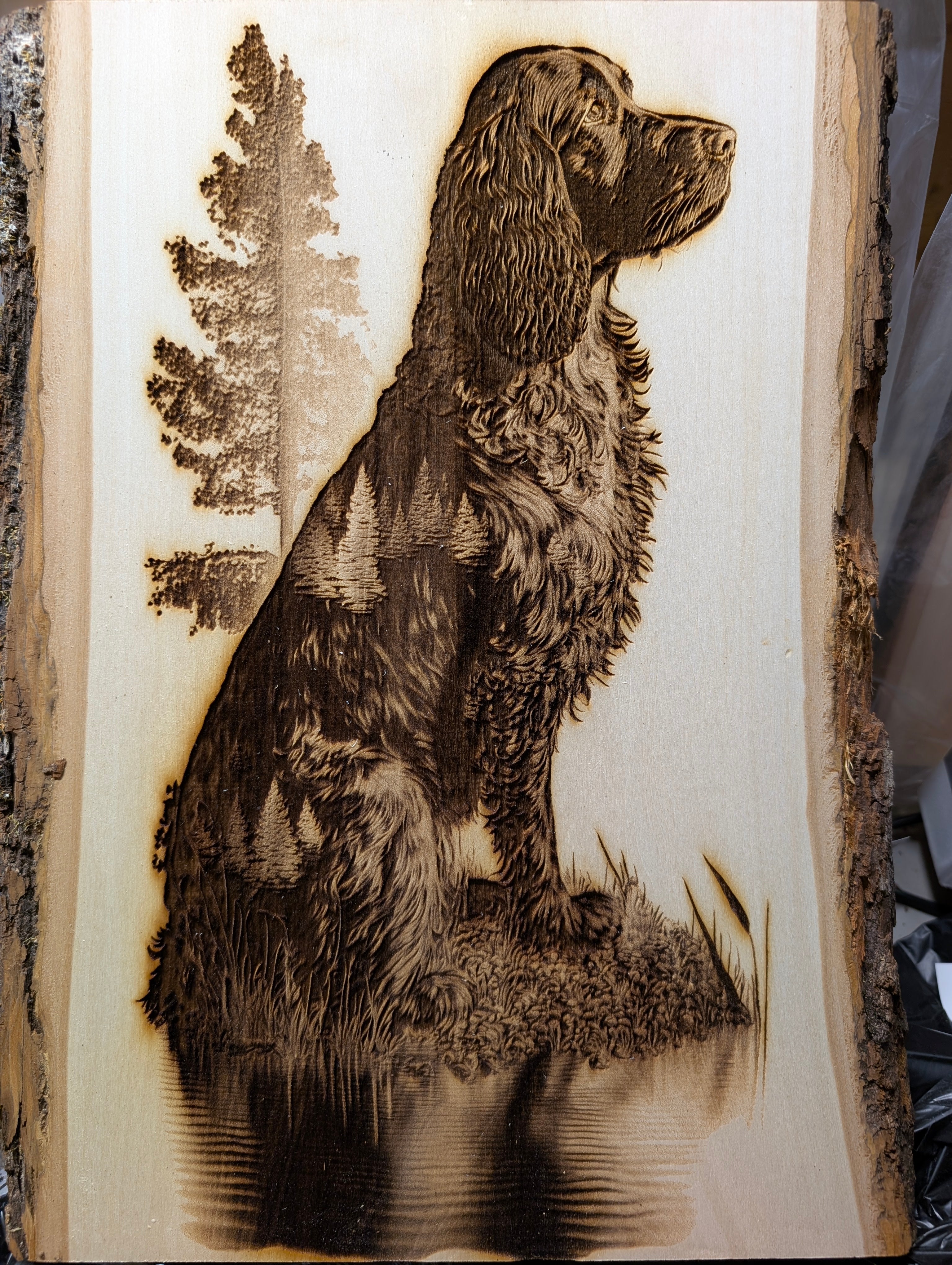 American Water Spaniel Engraved Board