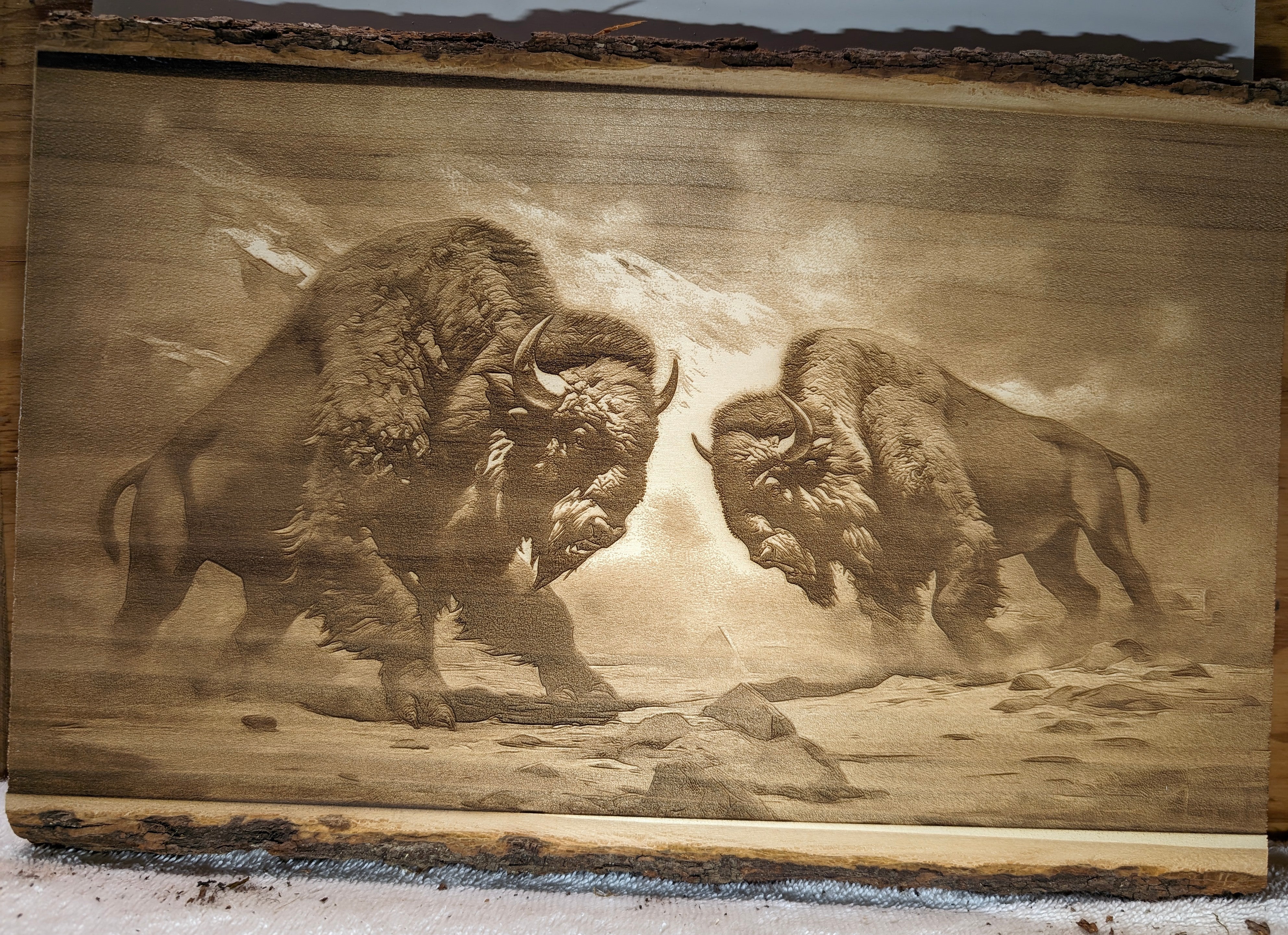 buffalo2.jpg