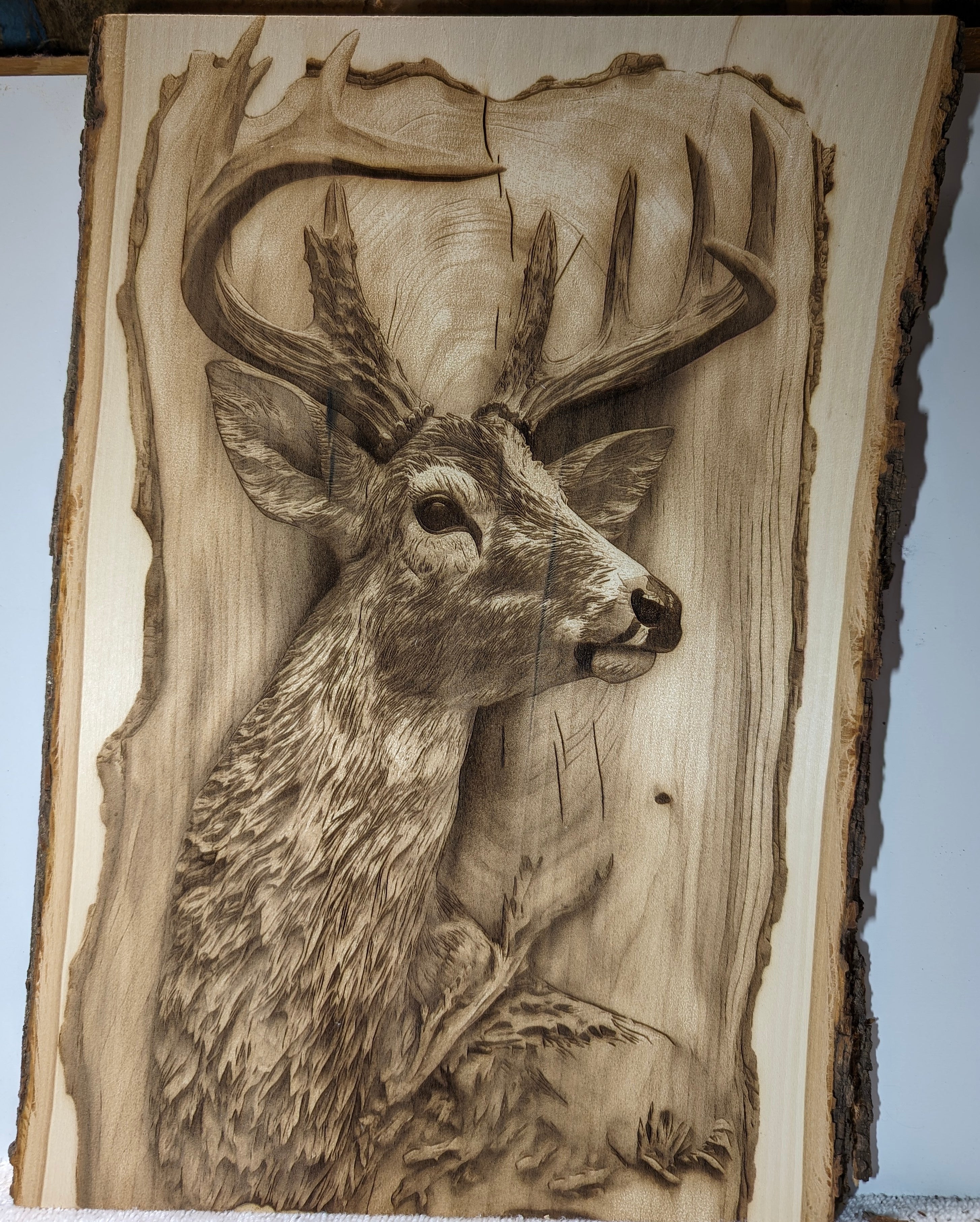 deerframed.jpg
