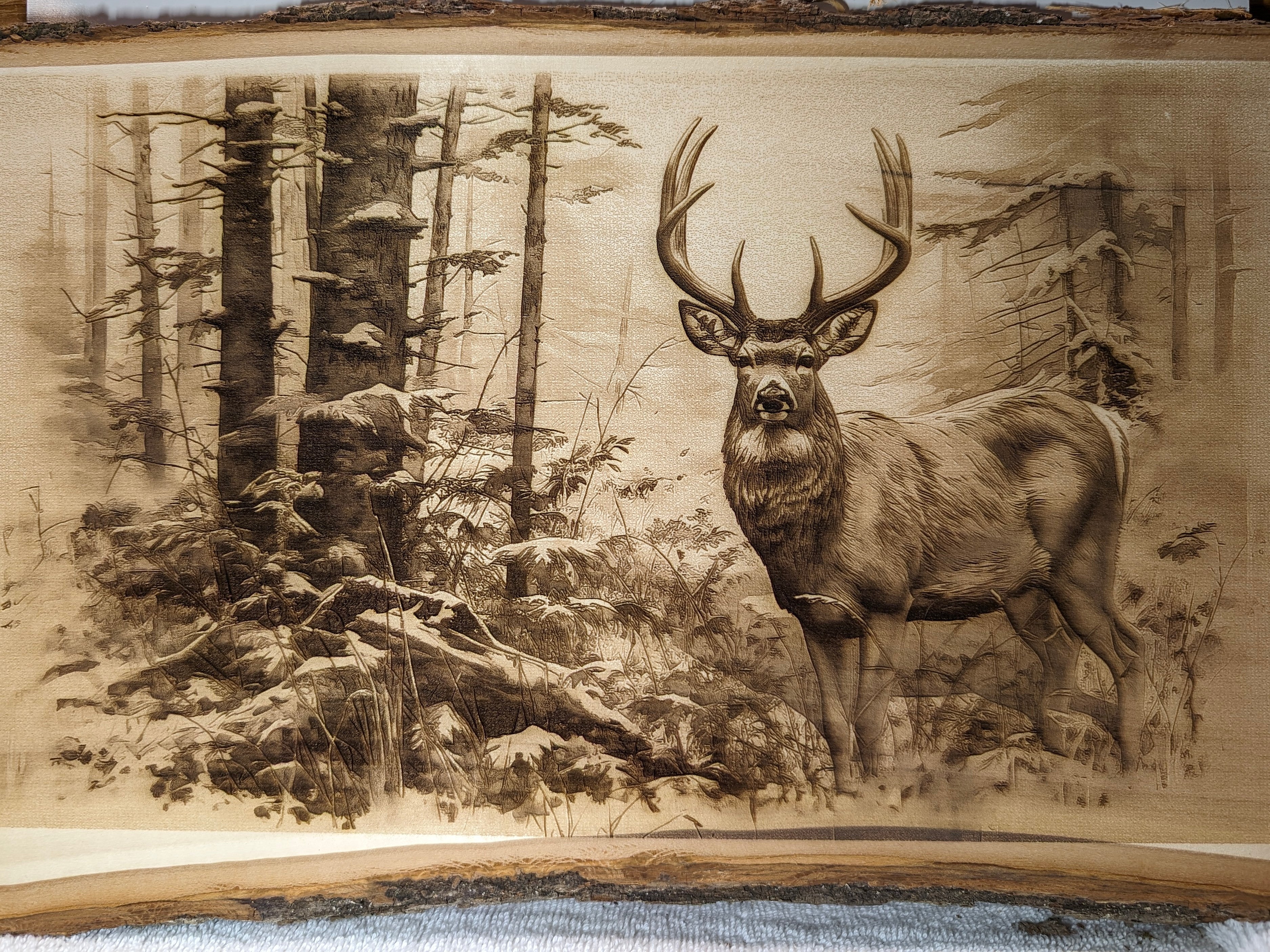 deerinthewoodsupclose.jpg