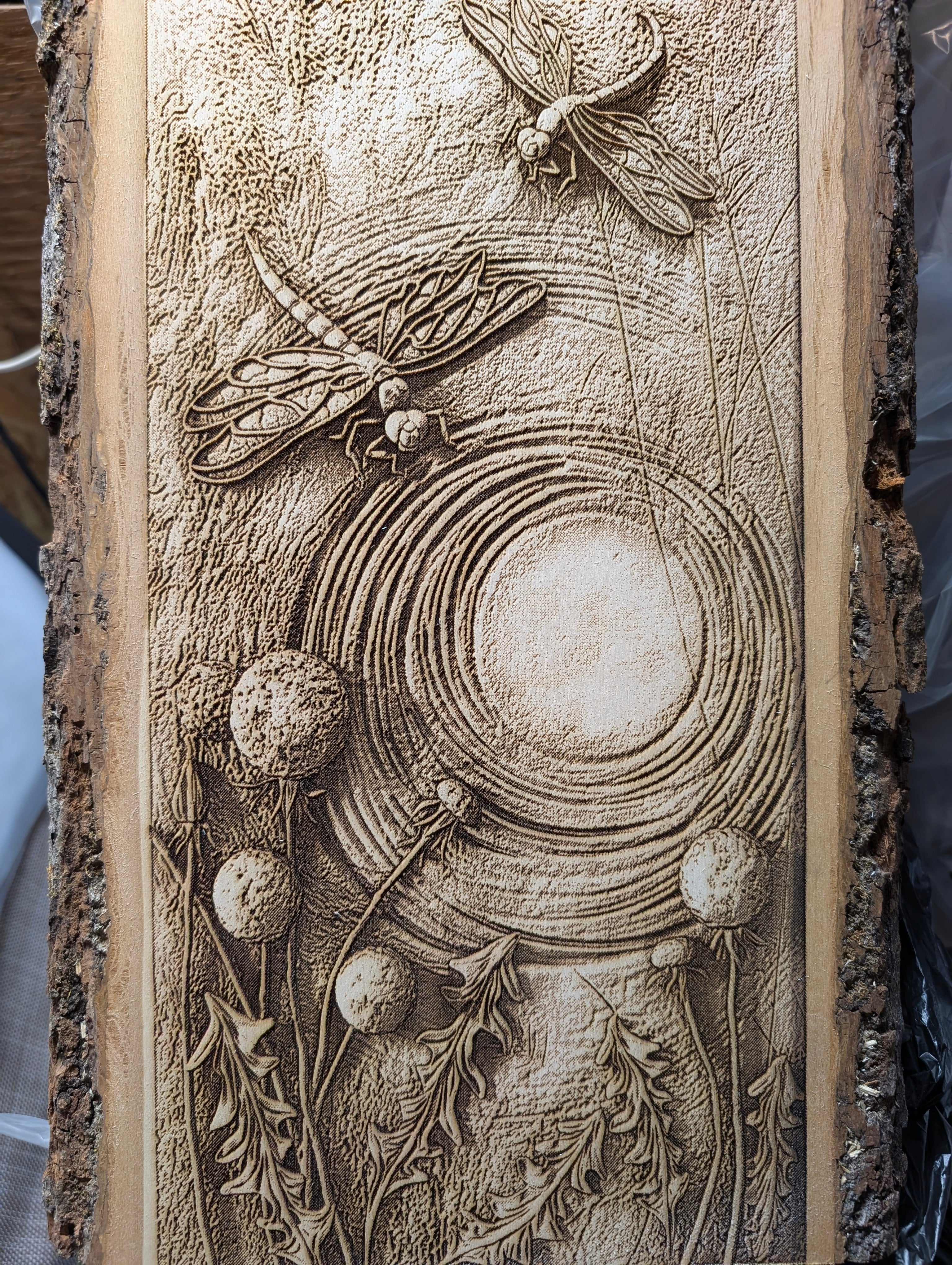 Dragonflies Engraving Board