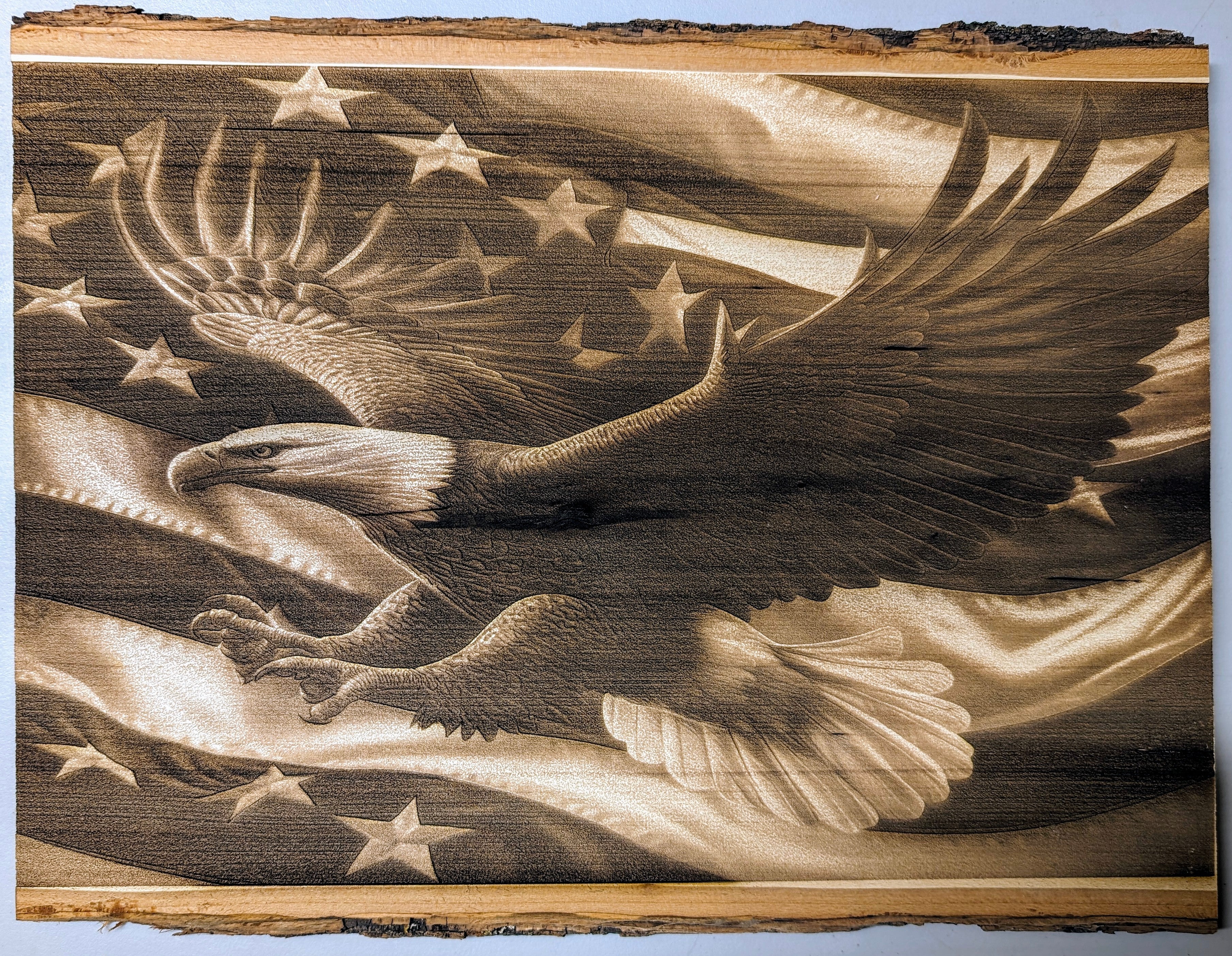 eaglesoaringwflag.jpg
