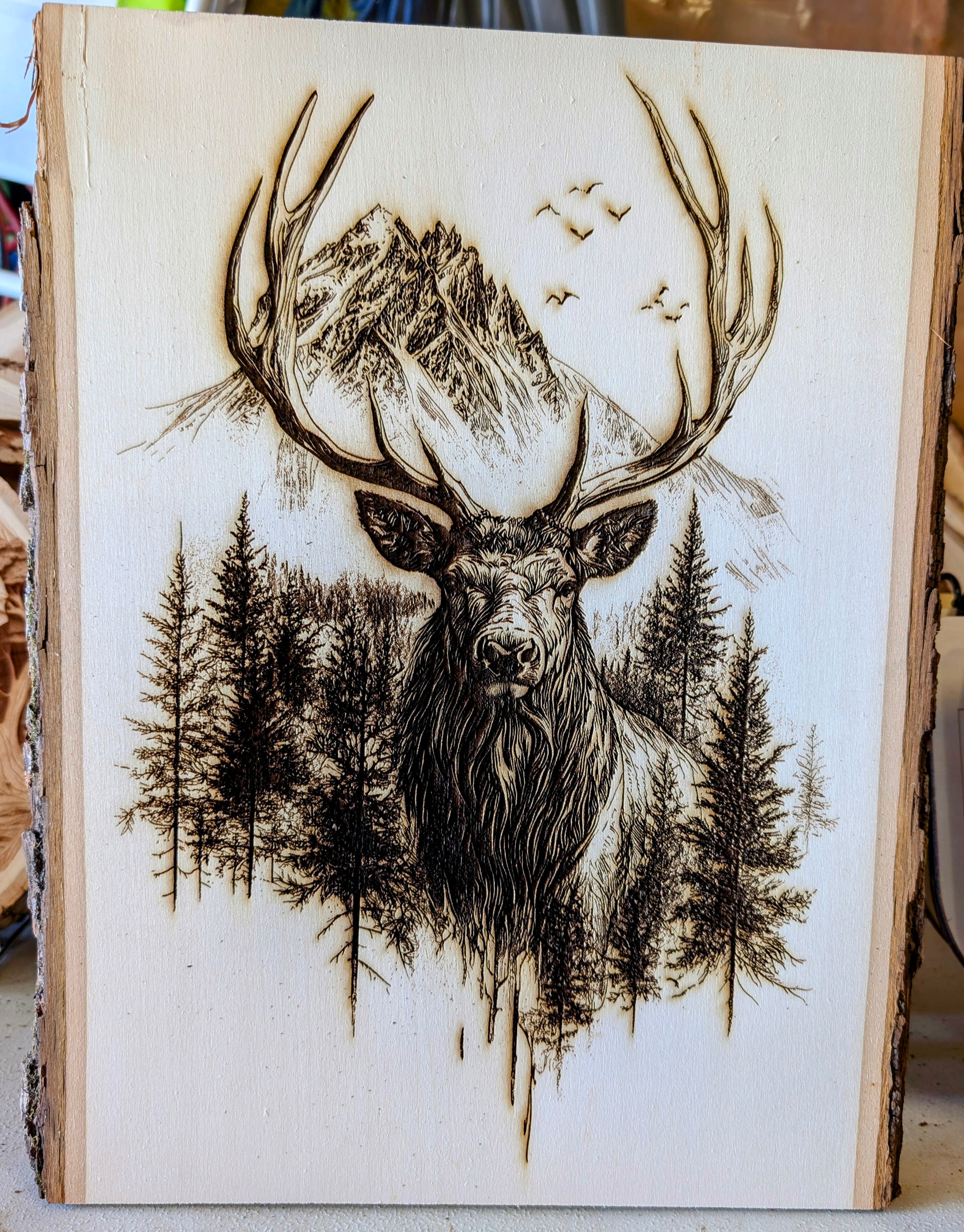 elk.jpg