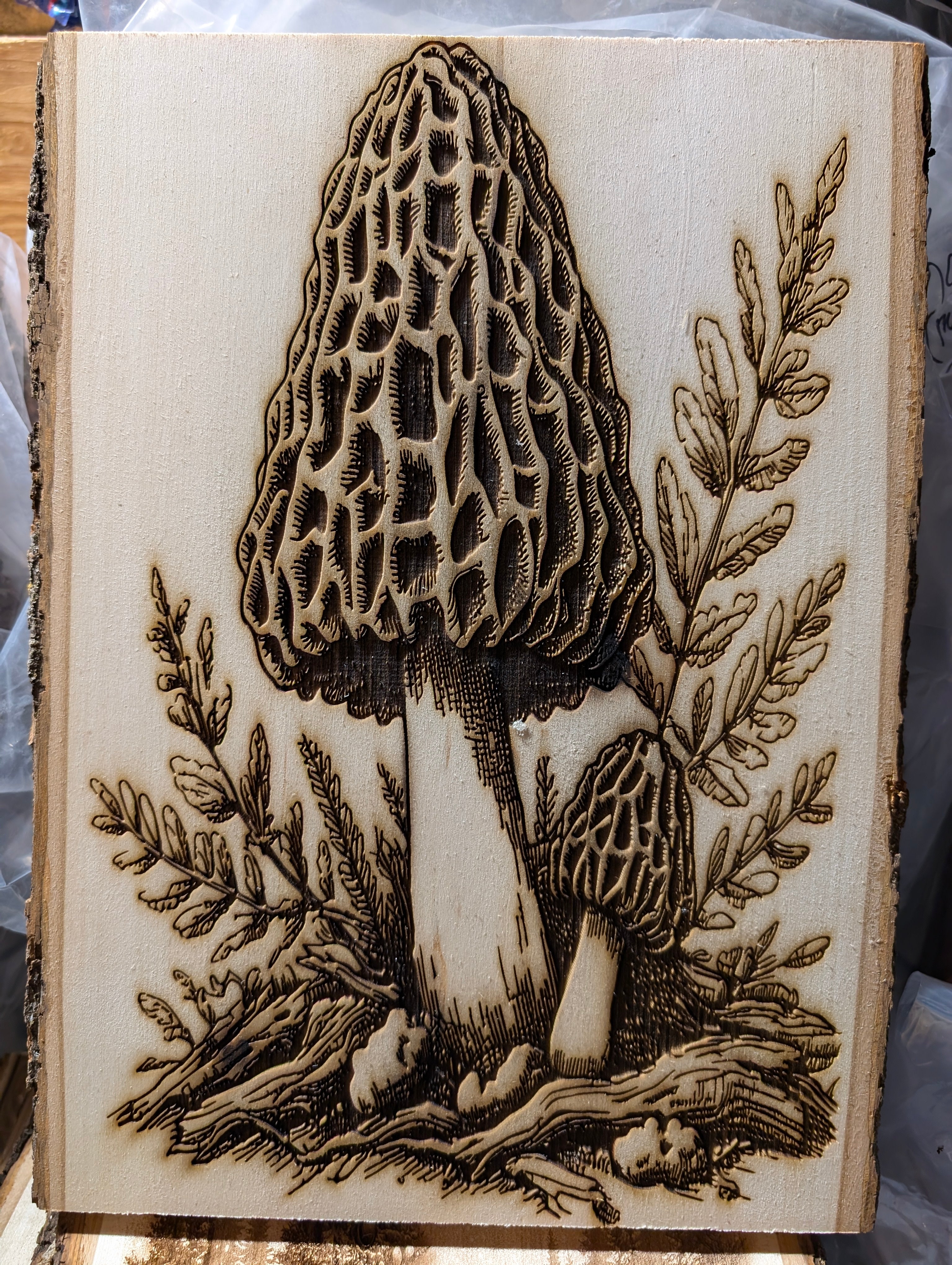 Mushroom Morel Engraving Board