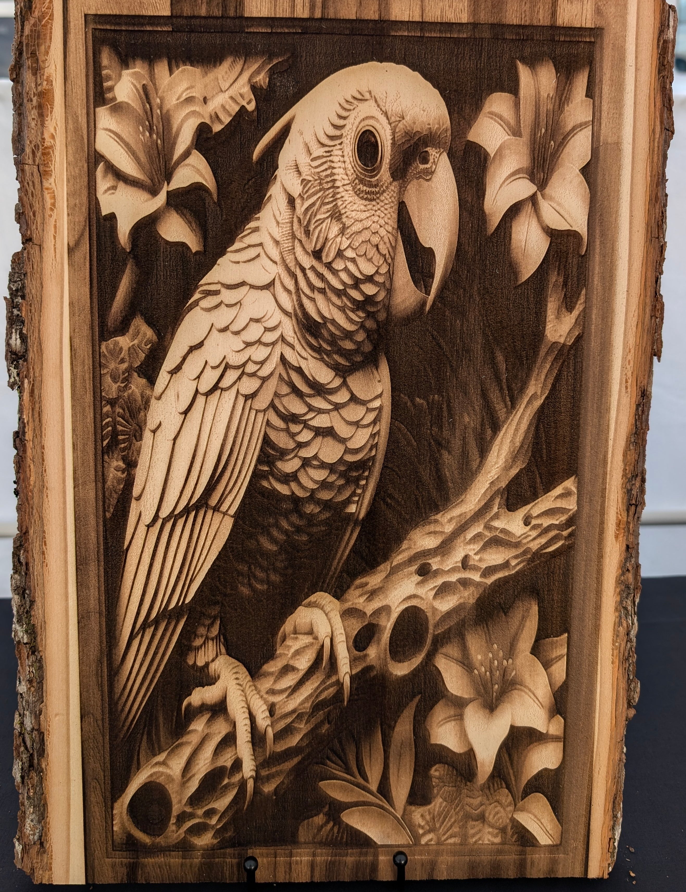parrot.jpg