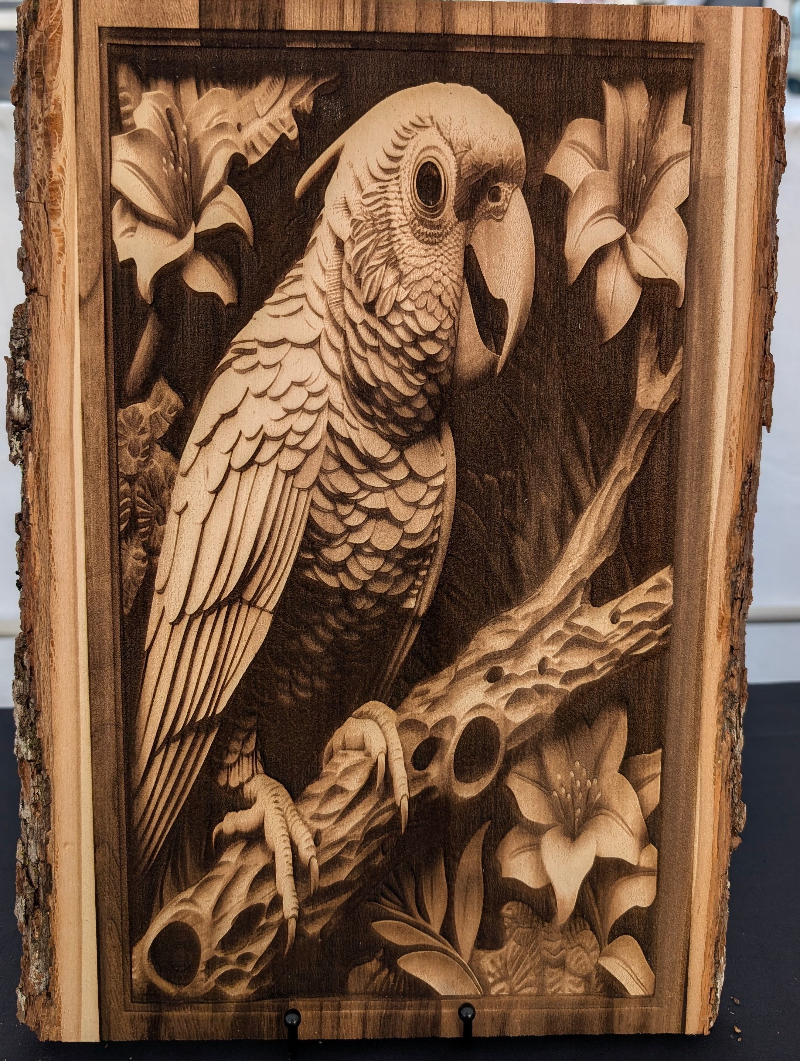 Parrot Engraving Board