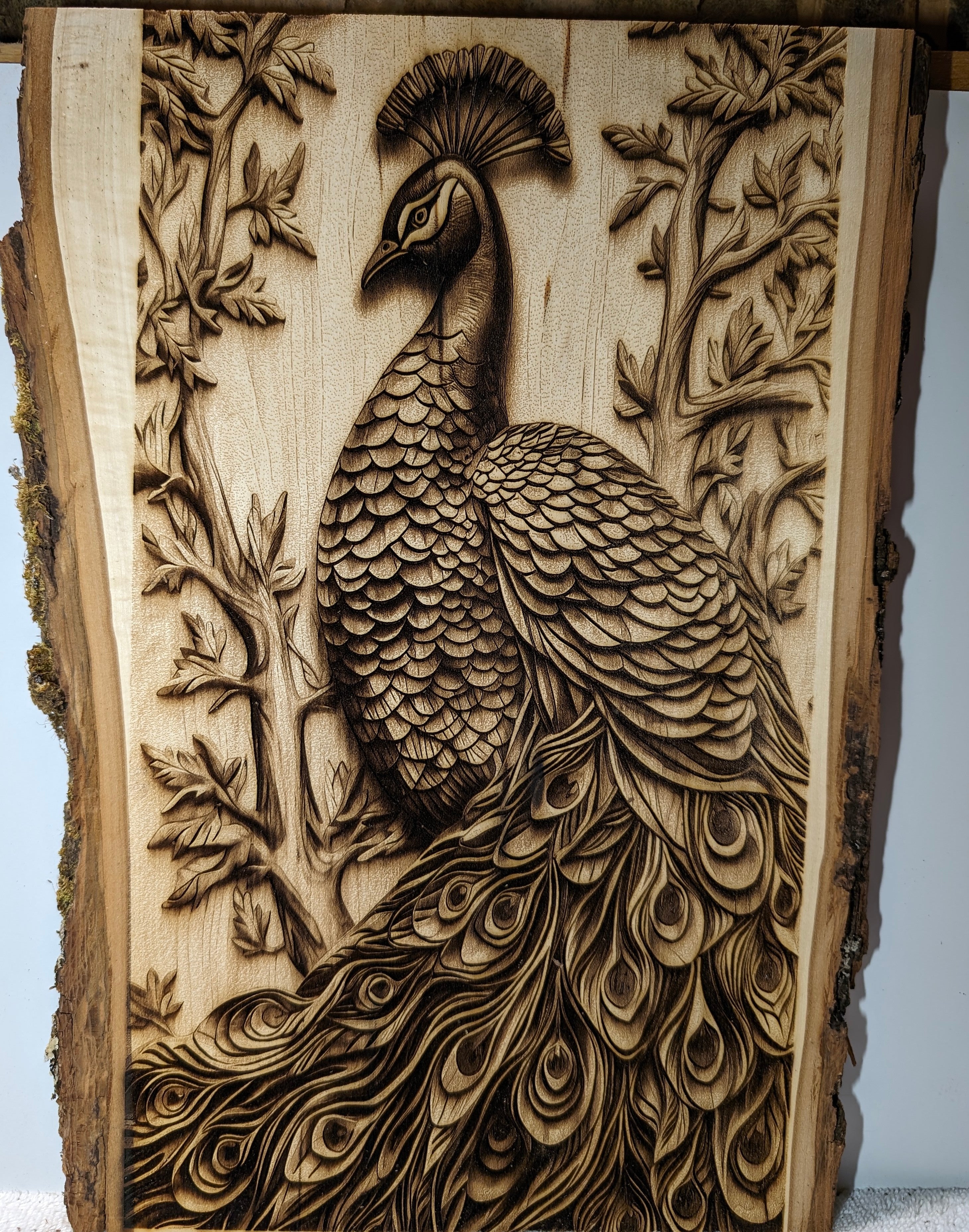 Peacock Rectangle Engraving Board