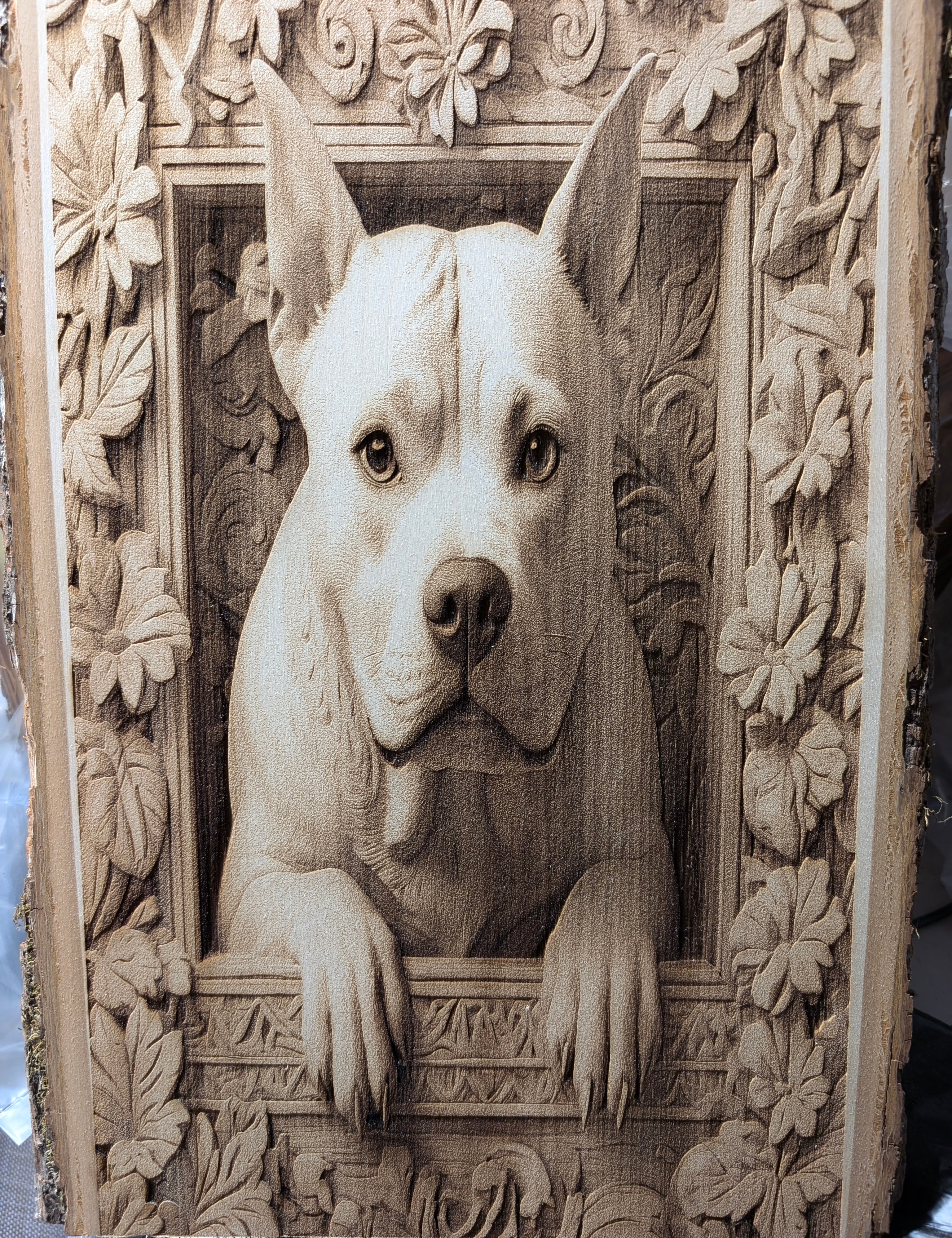 pitbullframed.jpg