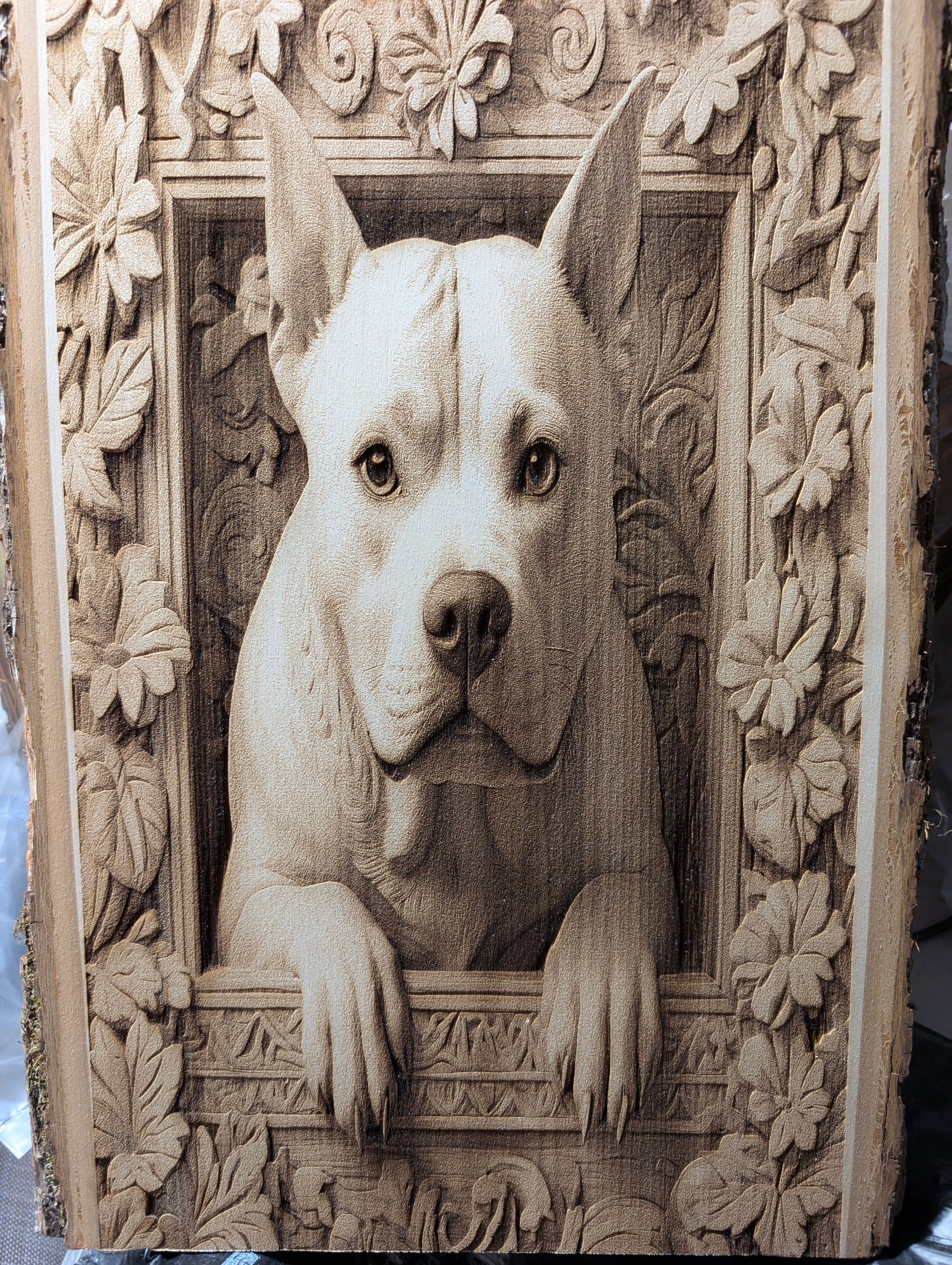Pitbull Framed Engraving Board