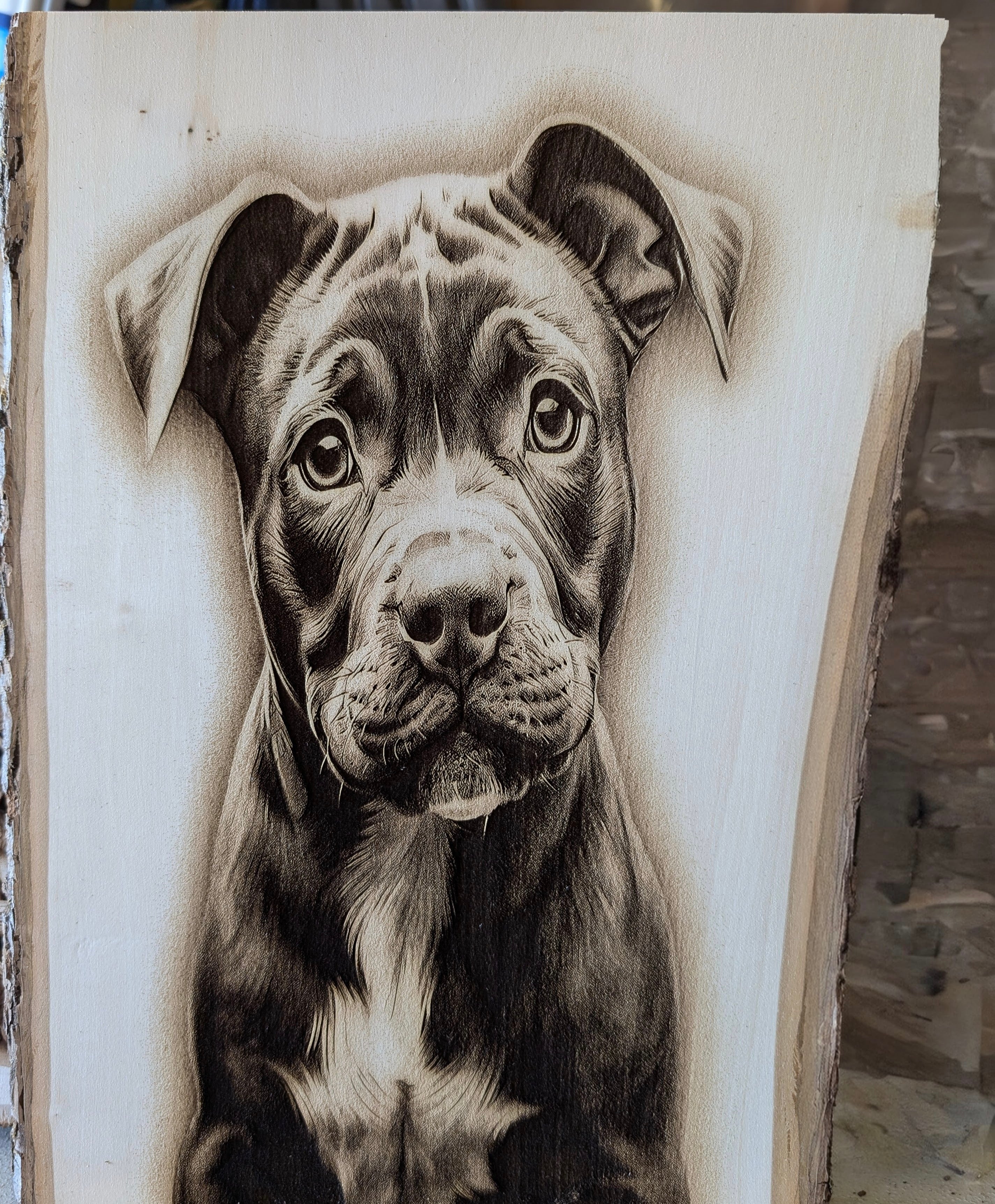 Pitbull Puppy Engraving Board