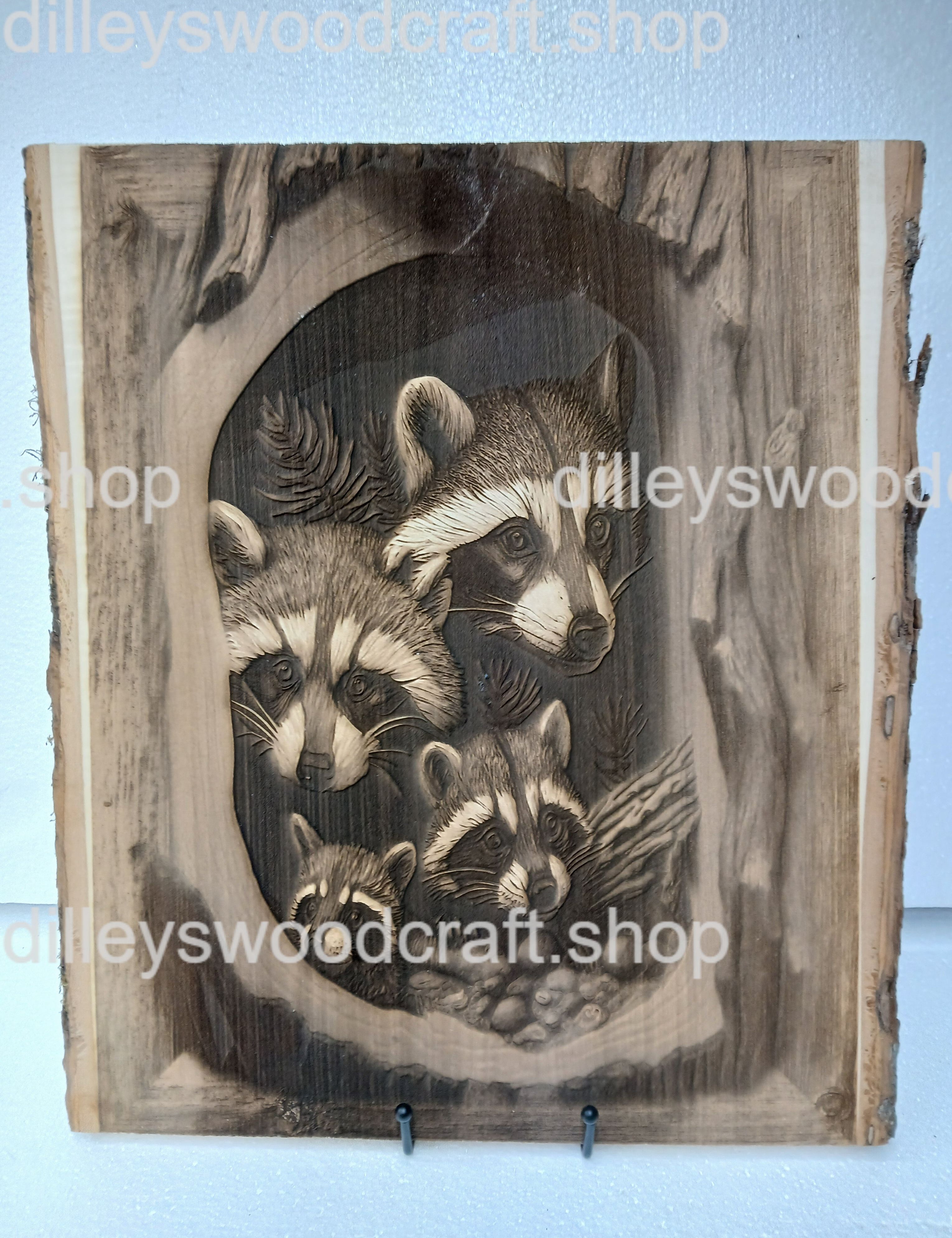racoonfamilywatermark.jpg