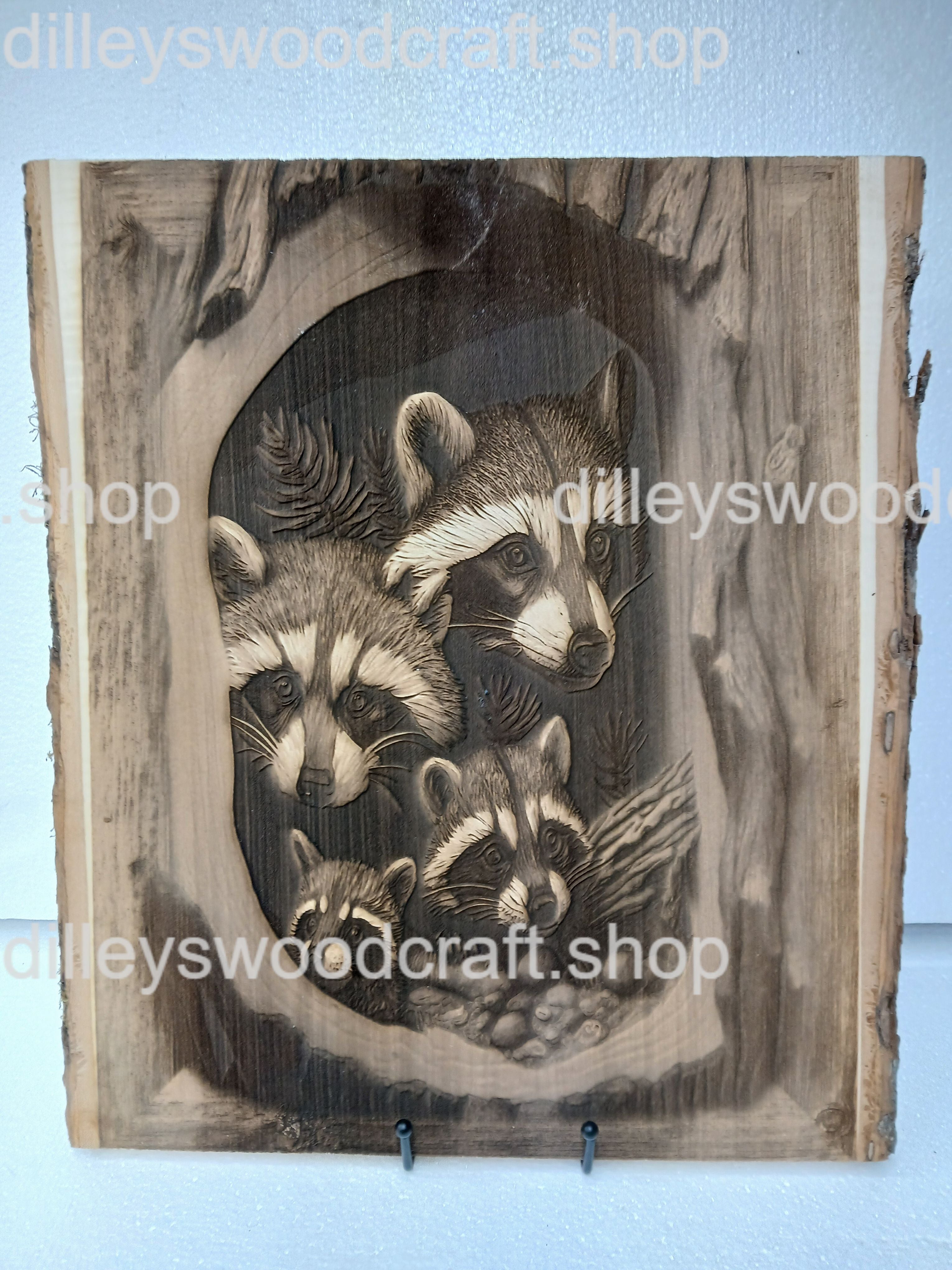 Raccoon Family