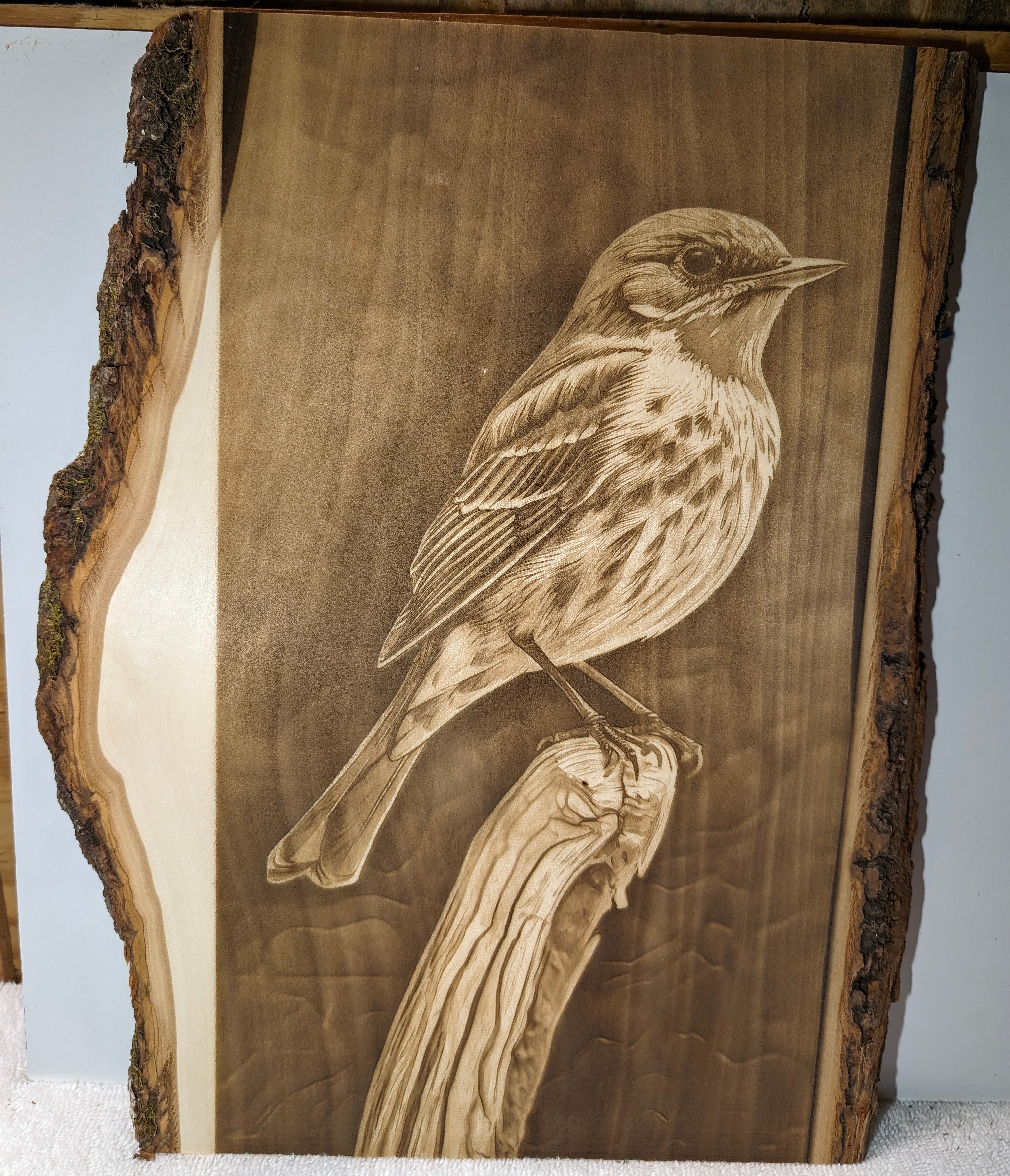 Songbird Engraving Board