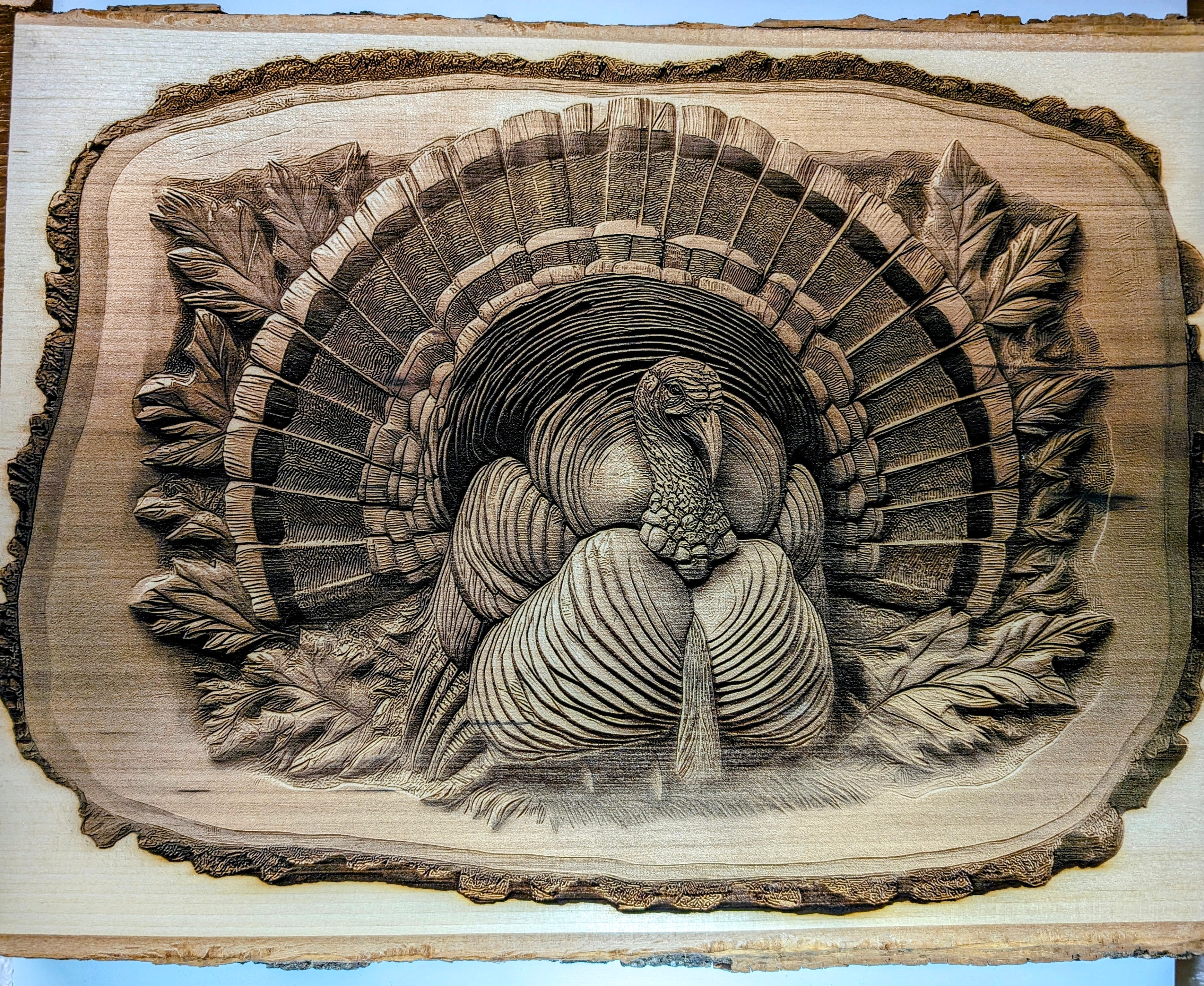 tomturkey.jpg