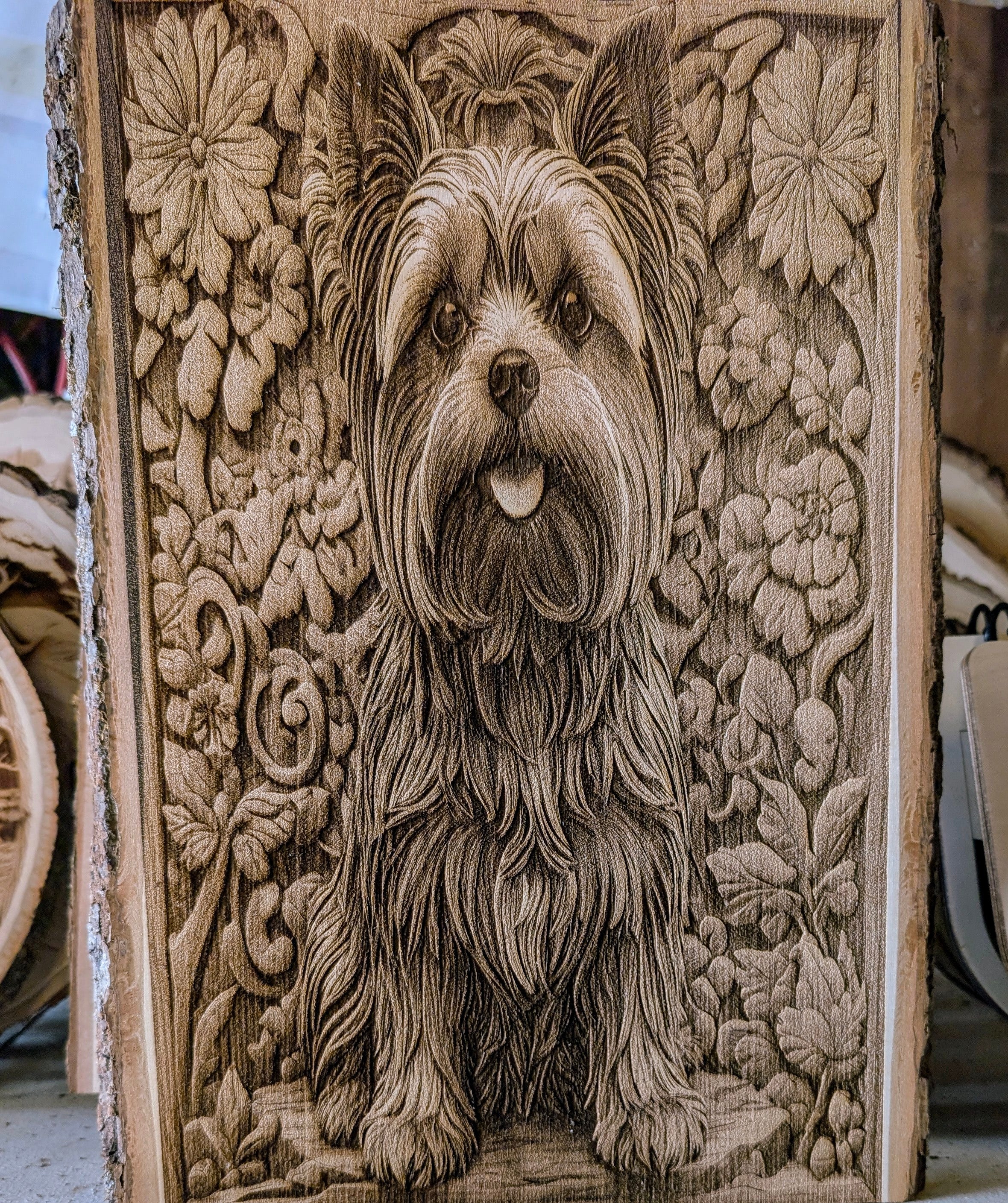 yorkie.jpg
